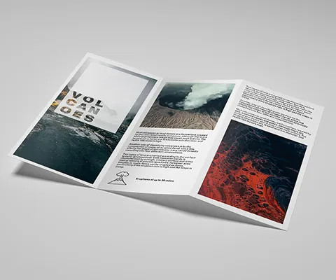 DL pp Leaflet
